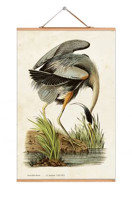 John James Audubon Poster No 69 eicie EINZELSTÜCK